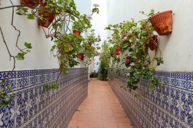 Tarihi binalar, eski katedral ve Castelo de Silves, Portimao bölgesi, Algarve Portekiz