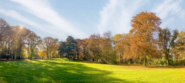 Parkta renkli yeşilliklere sahip sonbahar ağaçları ve güneşli çayır: Yeni inşaat projesi için arazi inşa etmek, modern konut binaları ve müstakil evler için arsa yapmak