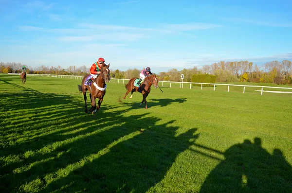 Galopp i kapplöpningsbanan i Munich-Riem, Tyskland — Stockfoto