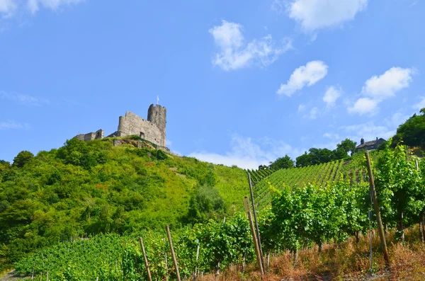 Duitsland Moezel: Uitzicht op wijngaarden en ruïnes van Landshut kasteel in de buurt van Bernkastel-Kues, Europa — Stockfoto