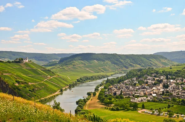 Met het oog op de rivier de Moezel en het kasteel van Marienburg in de buurt van dorp Puenderich - Mosel wijn regio in Duitsland — Stockfoto