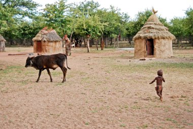 Geleneksel kulübe yakın etkin ulusal Park'ta Namibya, Afrika ile Himba köy