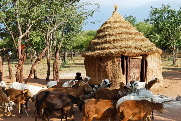 Aldeia do Himba com cabana tradicional perto do Parque Nacional Etosha na Namíbia, África — Fotografia de Stock
