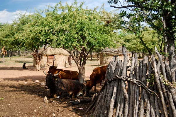 与传统的小屋在非洲纳米比亚埃托沙国家公园附近的辛巴族村 — 图库照片