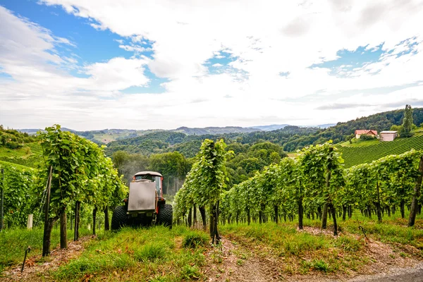 Południowej Styrii Austria - winorośli: Ciągnik w strome winnicy — Zdjęcie stockowe