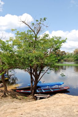 Amazon yağmur ormanları - Manaus, Brezilya Güney Amerika yakınındaki nehirde Kano seferi