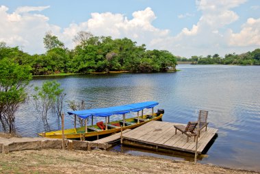 Amazon yağmur ormanları - Manaus, Brezilya Güney Amerika yakınındaki nehirde Kano seferi