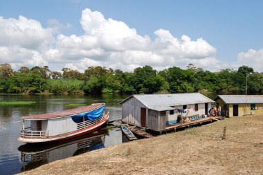 Amazon yağmur ormanları: Amazon nehri Manaus, Brezilya Güney Amerika yakınındaki boyunca tekne ile yolculuk
