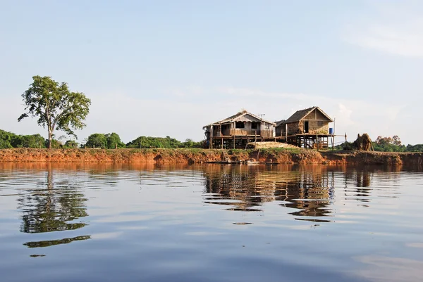 Amazonas-esőerdő: expedíció hajóval az Amazon folyó mellől Manaus, Brazília Dél-Amerika — Stock Fotó