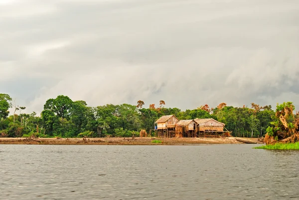 Amazonas-esőerdő: expedíció hajóval az Amazon folyó mellől Manaus, Brazília Dél-Amerika — Stock Fotó