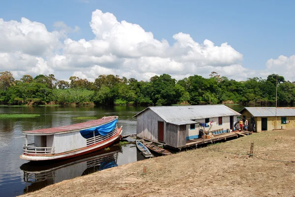 Hutan hujan Amazon: Ekspedisi dengan perahu di sepanjang Sungai Amazon dekat Manaus, Brasil Amerika Selatan — Stok Foto