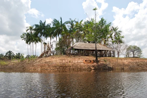 Selva Amazónica: Paisaje a lo largo de la orilla del río Amazonas cerca de Manaus, Brasil América del Sur —  Fotos de Stock