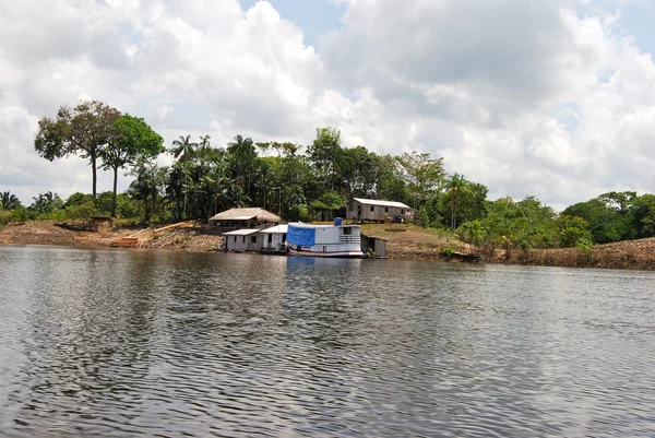 Floresta Amazônica: Paisagem ao longo da costa do Rio Amazonas perto de Manaus, Brasil América do Sul — Fotografia de Stock