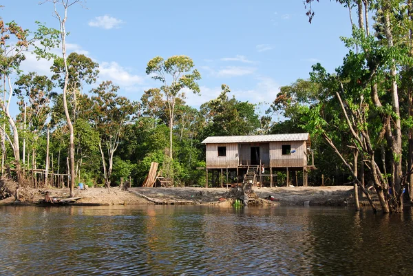 Selva Amazónica: Paisaje a lo largo de la orilla del río Amazonas cerca de Manaus, Brasil América del Sur —  Fotos de Stock