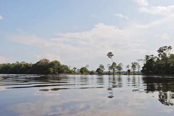 Amazonia: krajobraz wzdłuż brzegu Amazonki w pobliżu Manaus, Brazylia Ameryka Południowa — Zdjęcie stockowe