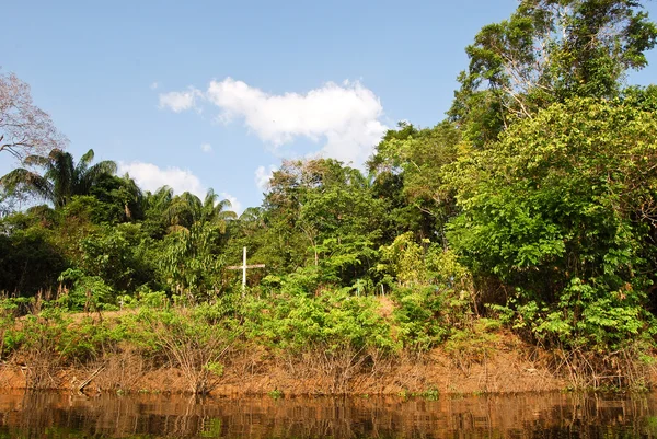 Amazonas-esőerdő: táj végig a parton az Amazon folyó közelében Manaus, Brazília Dél-Amerika — Stock Fotó