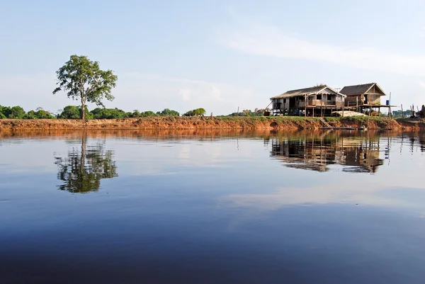 Floresta Amazônica: Assentamento na margem do Rio Amazonas perto de Manaus, Brasil América do Sul — Fotografia de Stock