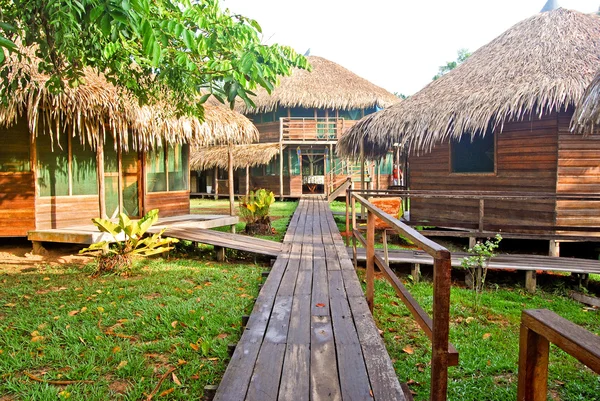 Amazoneregenwoud: wandelpad langs de Amazone-rivier in de buurt van Manaus, Brazilië Zuid-Amerika — Stockfoto