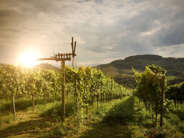 Bağ, Güney Steiermark Avusturya fırıldak Klapotetz