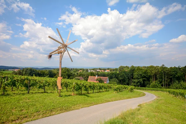 Úton a kerék Klapotetz keresztül a szőlő, a Dél-Stájerország Ausztria — Stock Fotó