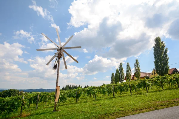 Una strada con girandola Klapotetz attraverso il vigneto, Stiria meridionale Austria — Foto Stock