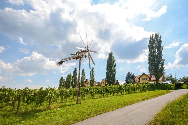 Дороги з вертушки Klapotetz через виноградник, Південний Штирія, Австрія — стокове фото