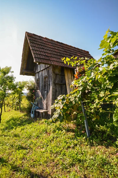 View on an old wooden hut in the vineyard, Southern Styria Austria — Stock Photo, Image