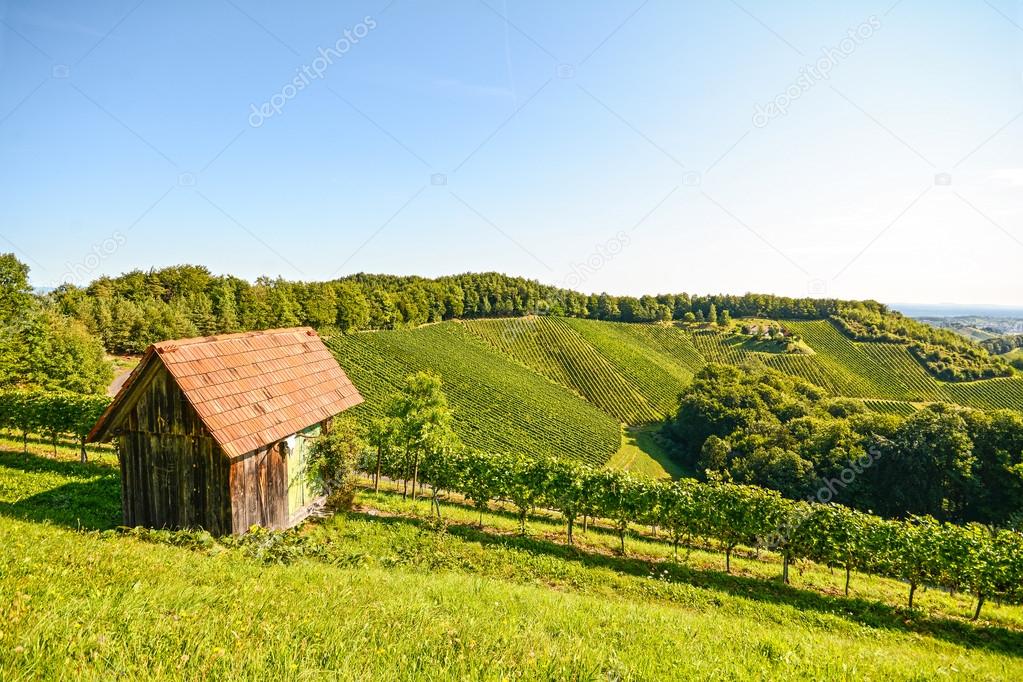 View on an old wooden hut in the vineyard, Southern Styria Austria