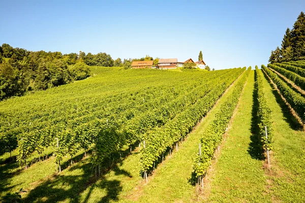 Weinberge und Weingut entlang der südsteirischen Weinstraße im Herbst, Österreich Europa — Stockfoto