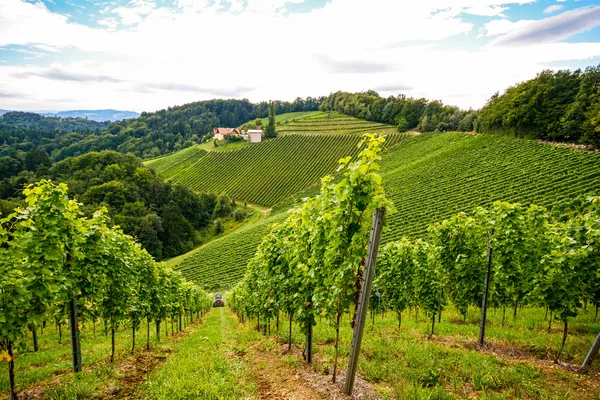 Wijngaarden langs de weg van de Zuid-Steirische wijn in de herfst, Oostenrijk, Europa — Stockfoto