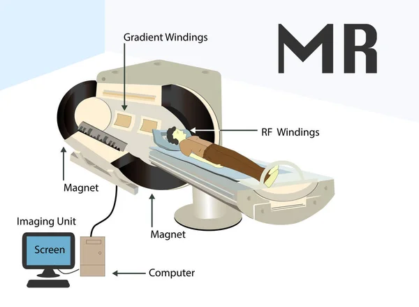 Infográfico Ressonância Magnética Ressonância Magnética Nuclear Tomografia Por Ressonância Magnética — Vetor de Stock