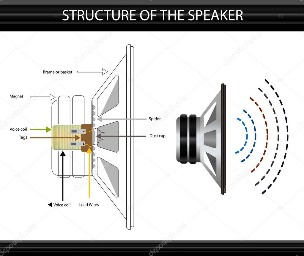 structure of the speaker. speaker and coil. subject of physics lesson speaker. speaker system. infographics. sound wave. wave size