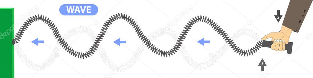 physics. spring stretched. transverse waves. longitudinal. The difference between throwing and periodic wave formation. longitudinal wave generation. periodically generated transverse waves. infograph