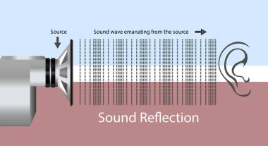Ses dalgaları sert bir yüzeye çarpar ve ses kaynağına geri döner. ses yansıması. 