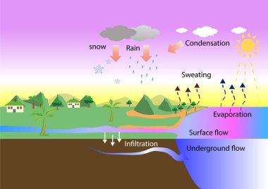 Su döngüsü. buharlaşma ve yağmur. Su döngüsünü yönlendiren güneş, okyanuslarda ve denizlerde suyu ısıtır. coğrafya