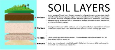 Toprak tabakası diyagramı. Toprak ufku. Toprak tabakası. Toprak katmanları. Eğitim diyagramı. Mineral parçacıkları, kum, humus ve taşlar, doğal gübre. Pankart, sayfa, poster, vektör şablonu