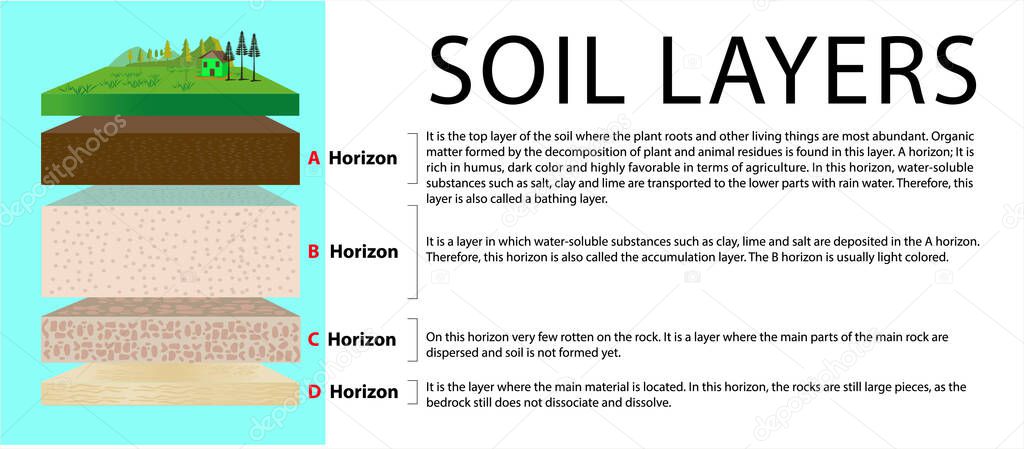 Soil Layers diagram.soil horizon. layer of soil. soil layers. education diagram. mineral particles, sand, humus and stones, natural fertilizer. template for banners, page, posters, vector