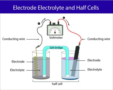 Elektrolit elektrolit ve yarım hücre. Kimya dersi elektrot konusu