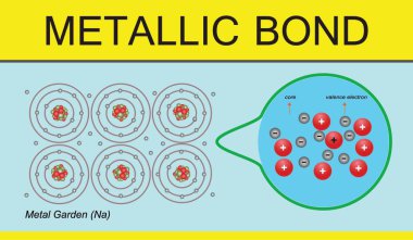 Kimya dersi metalik bağ. Metalik bağ bilgisi. değerlik elektronu