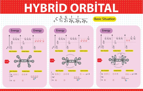 Геометрія Гібридної Молекули Гібридна Орбітальна Хімія Гібридна Інфографіка Структура Язку — стоковий вектор