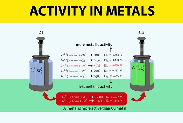 Хімічний Урок Металу Активність Металах Метал Метал Інфографіки Металів — стоковий вектор