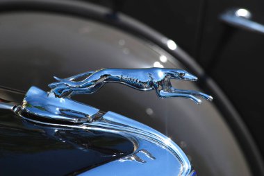 1934 model Ford Model 40 Roadster 'da Gümüş Tazı Başlıklı Süs