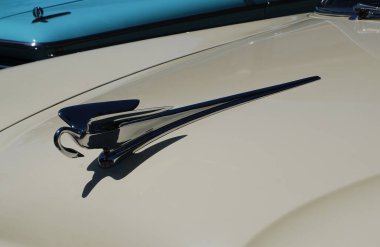 Krom bir kuğu kaputu 1952 Packard 300 'ün önünü süslüyor..