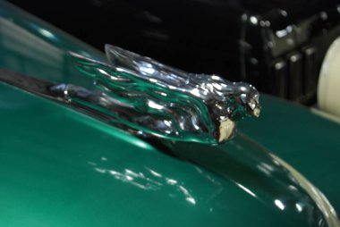 Islak bir 1952 Hudson Terraplane kaput süsü..