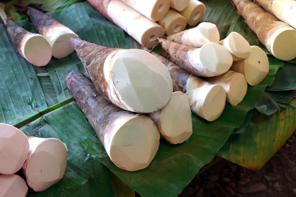 Tunas bambu dijual di pasar — Stok Foto