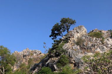 Rock dağ cliff ve mavi gökyüzü ağaçta