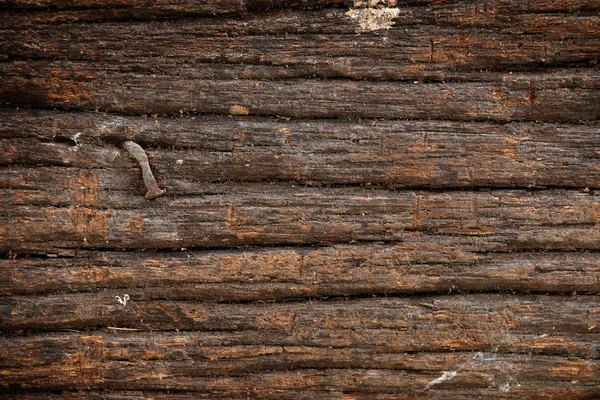 Roestige spijker in houten plank — Stockfoto