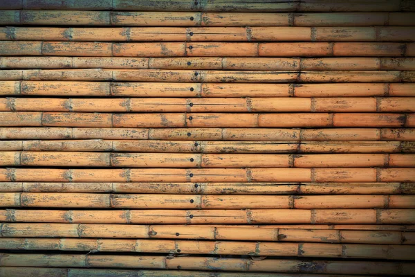Fondo de valla de bambú — Foto de Stock