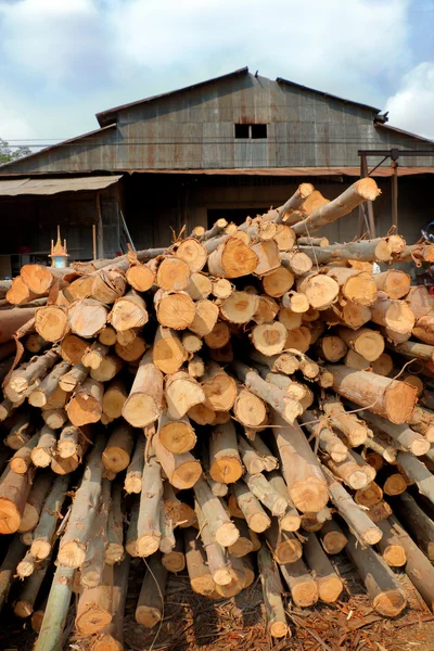 Serraria. Árvores derrubadas, troncos empilhados em uma pilha . — Fotografia de Stock