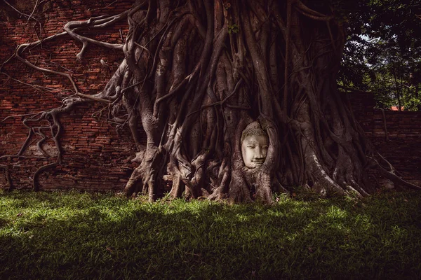 famous buddha\'s head covered by roots tree growing in temple ruins. Wat Mahathat, Ayutthaya Historical Park, Thailand